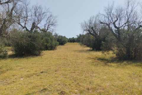 Helårsgrund i Casarano, Lecce, Casarano - € 55.000 | Ref: Caf-55 terre - foto 5
