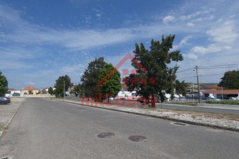 Helårsgrund i Torres Vedras, Lisbon, Torres Vedras - € 105.000 | Ref: M3162 TVD - foto 7