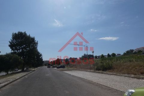 Helårsgrund i Torres Vedras, Lisbon, Torres Vedras - € 105.000 | Ref: M3162 TVD - foto 8