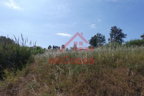 Helårsgrund i Torres Vedras, Lisbon, Torres Vedras - € 105.000 | Ref: M3162 TVD - foto 15