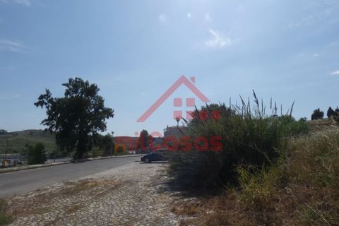 Helårsgrund i Torres Vedras, Lisbon, Torres Vedras - € 105.000 | Ref: M3162 TVD - foto 17