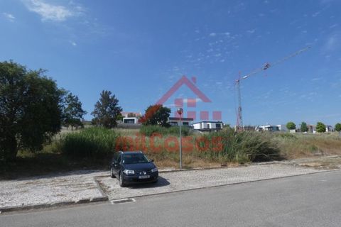 Helårsgrund i Torres Vedras, Lisbon, Torres Vedras - € 105.000 | Ref: M3162 TVD - foto 19