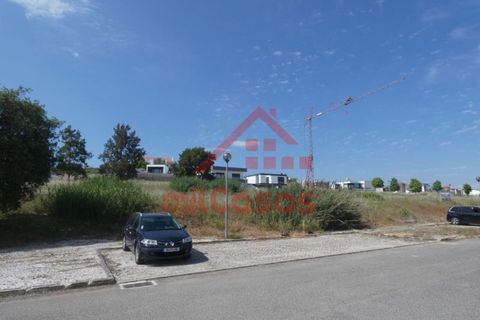 Helårsgrund i Torres Vedras, Lisbon, Torres Vedras - € 105.000 | Ref: M3162 TVD - foto 21