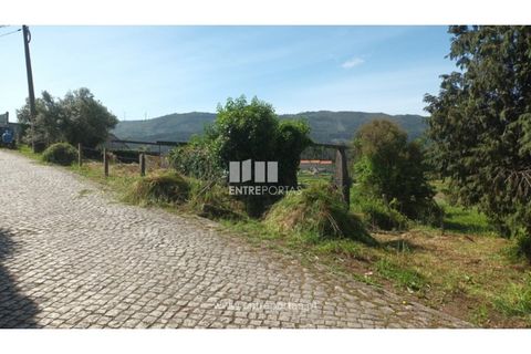 Helårsgrund i Caminha, Viana do Castelo, Caminha - € 80.000 | Ref: C02919 - foto 7
