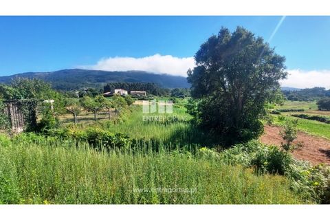 Helårsgrund i Caminha, Viana do Castelo, Caminha - € 80.000 | Ref: C02919 - foto 2