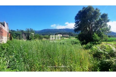 Helårsgrund i Caminha, Viana do Castelo, Caminha - € 80.000 | Ref: C02919 - foto 3