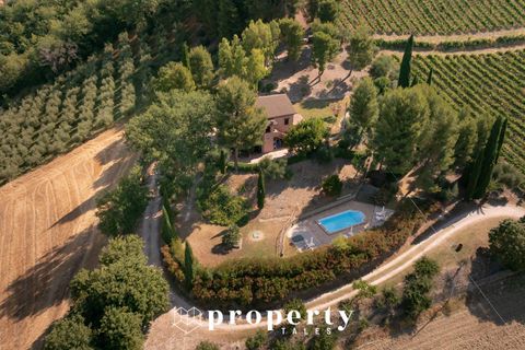 Landejendom i Cossignano, Ascoli Piceno, Cossignano - € 560.000 | Ref: 126 - foto 4