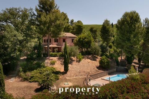 Landejendom i Cossignano, Ascoli Piceno, Cossignano - € 560.000 | Ref: 126 - foto 5