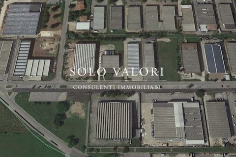 Terra a Castelfranco Veneto, Treviso, Castelfranco Veneto - € 440.000 | Ref: D217 - foto 4