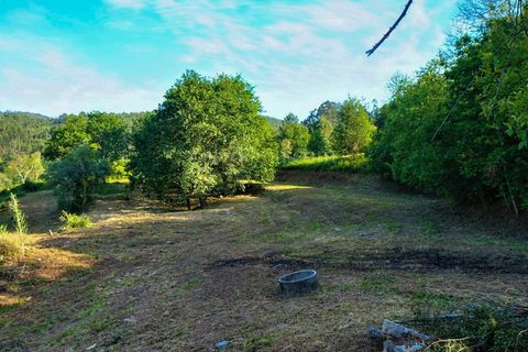 Villa i Valenca, Viana do Castelo, Valenca - € 95.000 | Ref: 3812 - foto 6
