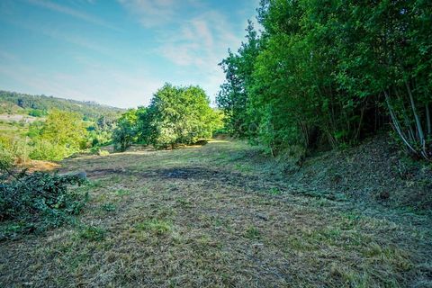 Villa i Valenca, Viana do Castelo, Valenca - € 95.000 | Ref: 3812 - foto 7