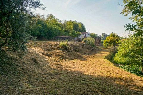 Villa i Valenca, Viana do Castelo, Valenca - € 95.000 | Ref: 3812 - foto 8