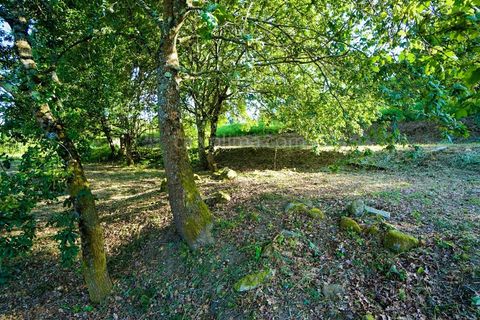 Villa i Valenca, Viana do Castelo, Valenca - € 95.000 | Ref: 3812 - foto 9