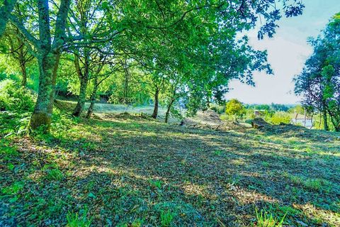 Villa i Valenca, Viana do Castelo, Valenca - € 95.000 | Ref: 3812 - foto 10