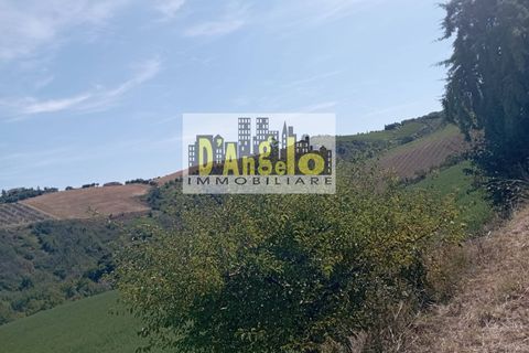 Villa a Offida, Ascoli Piceno, Offida - € 175.000 | Ref: 36 - foto 8