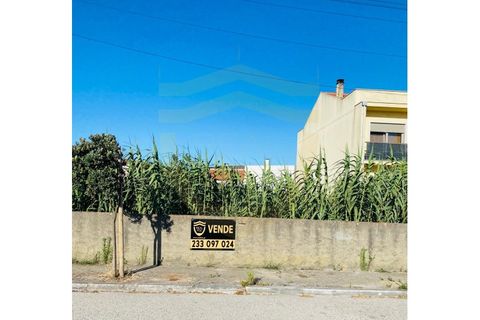 Terra a Lavos, Coimbra, Lavos - € 80.000 | Ref: SÒL_1176 - foto 5