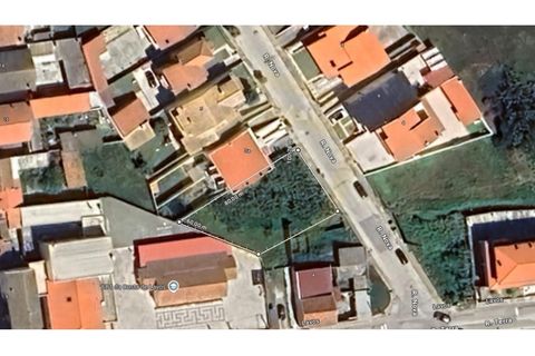 Terra a Lavos, Coimbra, Lavos - € 80.000 | Ref: SÒL_1176 - foto 6