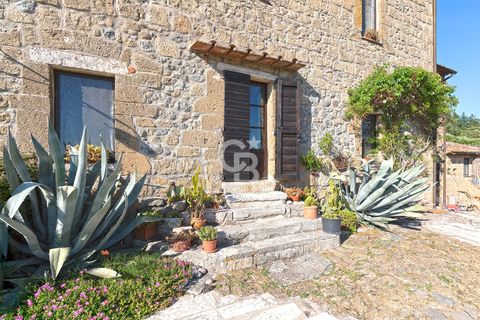 Villa a Pitigliano, Grosseto, Pitigliano - € 790.000 | Ref: CBI006-2280-332974 - foto 5