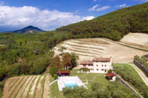 Terra a Tregnago, Verona, Tregnago - € 1.800.000 | Ref: 2163 - foto 3