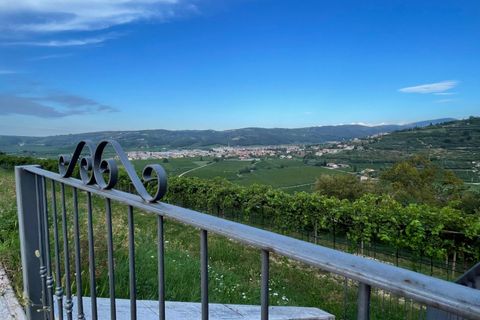 Terra a Tregnago, Verona, Tregnago - € 1.800.000 | Ref: 2163 - foto 5