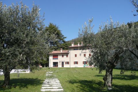 Terra a Tregnago, Verona, Tregnago - € 1.800.000 | Ref: 2163 - foto 9