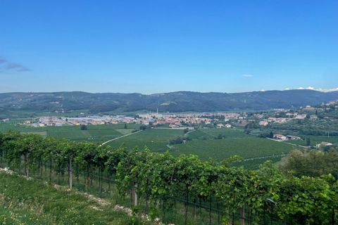 Terra a Tregnago, Verona, Tregnago - € 1.800.000 | Ref: 2163 - foto 14