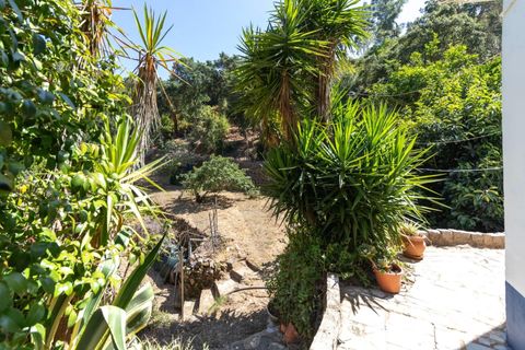 Villa i Monchique, Faro, Monchique - € 275.000 | Ref: KWPT-018963 - foto 21