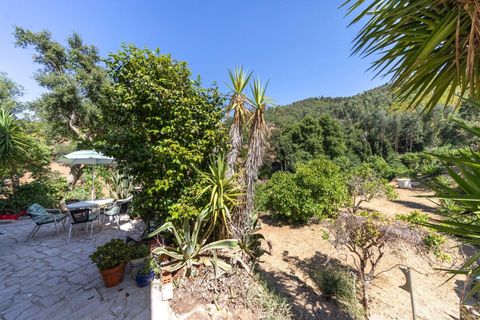 Villa i Monchique, Faro, Monchique - € 275.000 | Ref: KWPT-018963 - foto 22