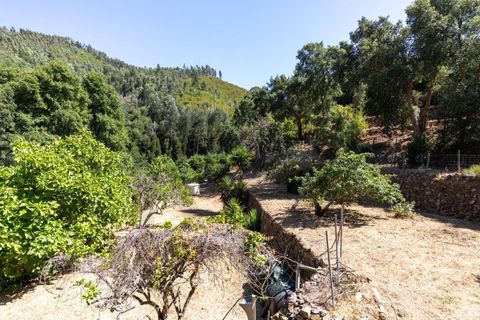 Villa i Monchique, Faro, Monchique - € 275.000 | Ref: KWPT-018963 - foto 23