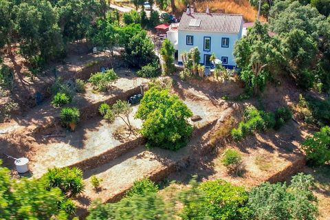 Villa i Monchique, Faro, Monchique - € 275.000 | Ref: KWPT-018963 - foto 26