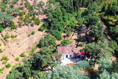 Villa i Monchique, Faro, Monchique - € 275.000 | Ref: KWPT-018963 - foto 27