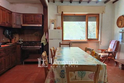 Villa i Massarosa, Lucca, Massarosa - € 550.000 | Ref: M435 - foto 4