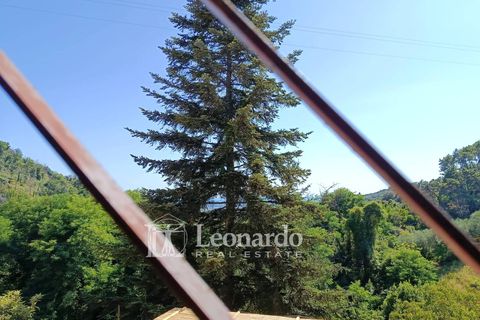 Villa i Massarosa, Lucca, Massarosa - € 550.000 | Ref: M435 - foto 26