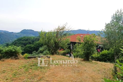 Villa i Camaiore, Lucca, Camaiore - € 280 000 | Ref: C439 - foto 2