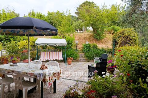 Villa i Camaiore, Lucca, Camaiore - € 280 000 | Ref: C439 - foto 4