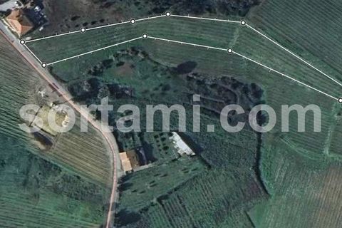 Helårsgrund i Anadia, Aveiro, Anadia - € 37.000 | Ref: Sort23279 - foto 1