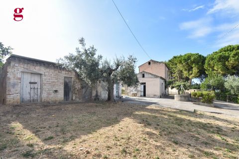 Villa i Vasto, Chieti, Vasto - € 95.000 | Ref: IM202537 - foto 11