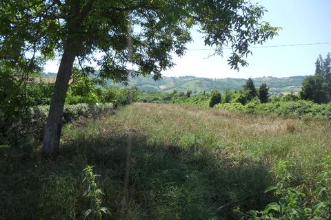 Terra a Spinetoli, Ascoli Piceno, Spinetoli - € 45.000 | Ref: ter22 - foto 2