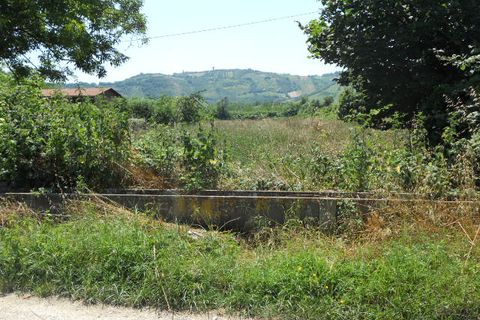 Terra a Spinetoli, Ascoli Piceno, Spinetoli - € 45.000 | Ref: ter22 - foto 5