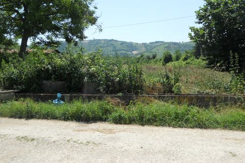 Terra a Spinetoli, Ascoli Piceno, Spinetoli - € 45.000 | Ref: ter22 - foto 6