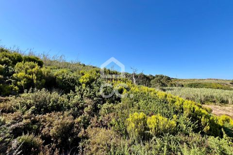 Helårsgrund i Caldas da Rainha, Leiria, Caldas da Rainha - € 45.000 | Ref: 386/T/00371 - foto 6
