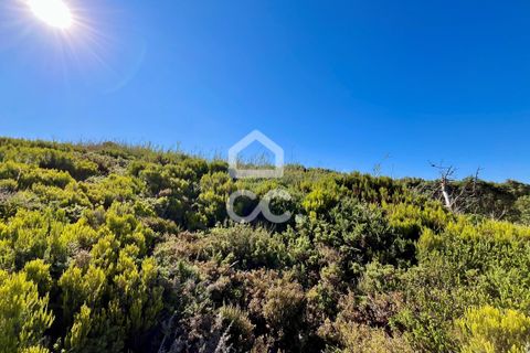 Helårsgrund i Caldas da Rainha, Leiria, Caldas da Rainha - € 45.000 | Ref: 386/T/00371 - foto 7