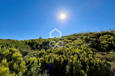 Helårsgrund i Caldas da Rainha, Leiria, Caldas da Rainha - € 45.000 | Ref: 386/T/00371 - foto 9