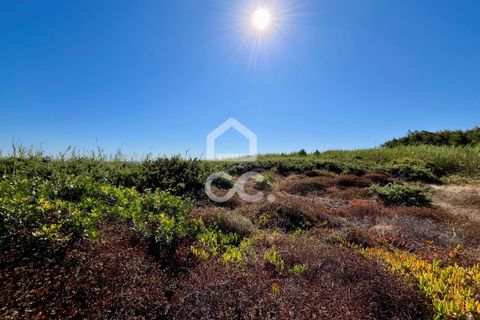 Helårsgrund i Caldas da Rainha, Leiria, Caldas da Rainha - € 45.000 | Ref: 386/T/00371 - foto 10