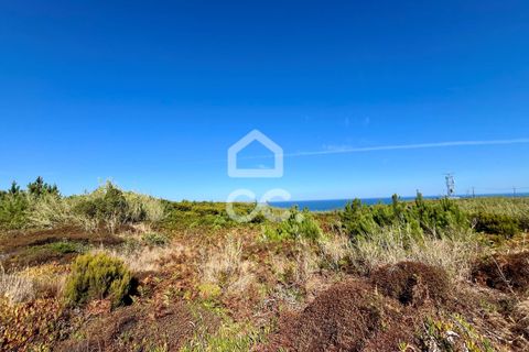 Helårsgrund i Caldas da Rainha, Leiria, Caldas da Rainha - € 45.000 | Ref: 386/T/00371 - foto 13