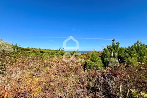 Helårsgrund i Caldas da Rainha, Leiria, Caldas da Rainha - € 45.000 | Ref: 386/T/00371 - foto 15