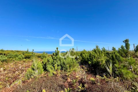 Helårsgrund i Caldas da Rainha, Leiria, Caldas da Rainha - € 45.000 | Ref: 386/T/00371 - foto 16