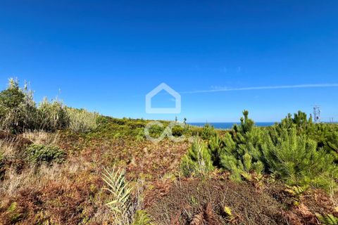 Helårsgrund i Caldas da Rainha, Leiria, Caldas da Rainha - € 45.000 | Ref: 386/T/00371 - foto 17