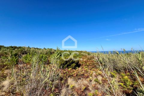 Helårsgrund i Caldas da Rainha, Leiria, Caldas da Rainha - € 45.000 | Ref: 386/T/00371 - foto 18
