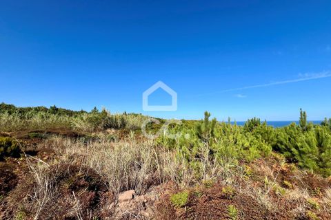 Helårsgrund i Caldas da Rainha, Leiria, Caldas da Rainha - € 45.000 | Ref: 386/T/00371 - foto 19